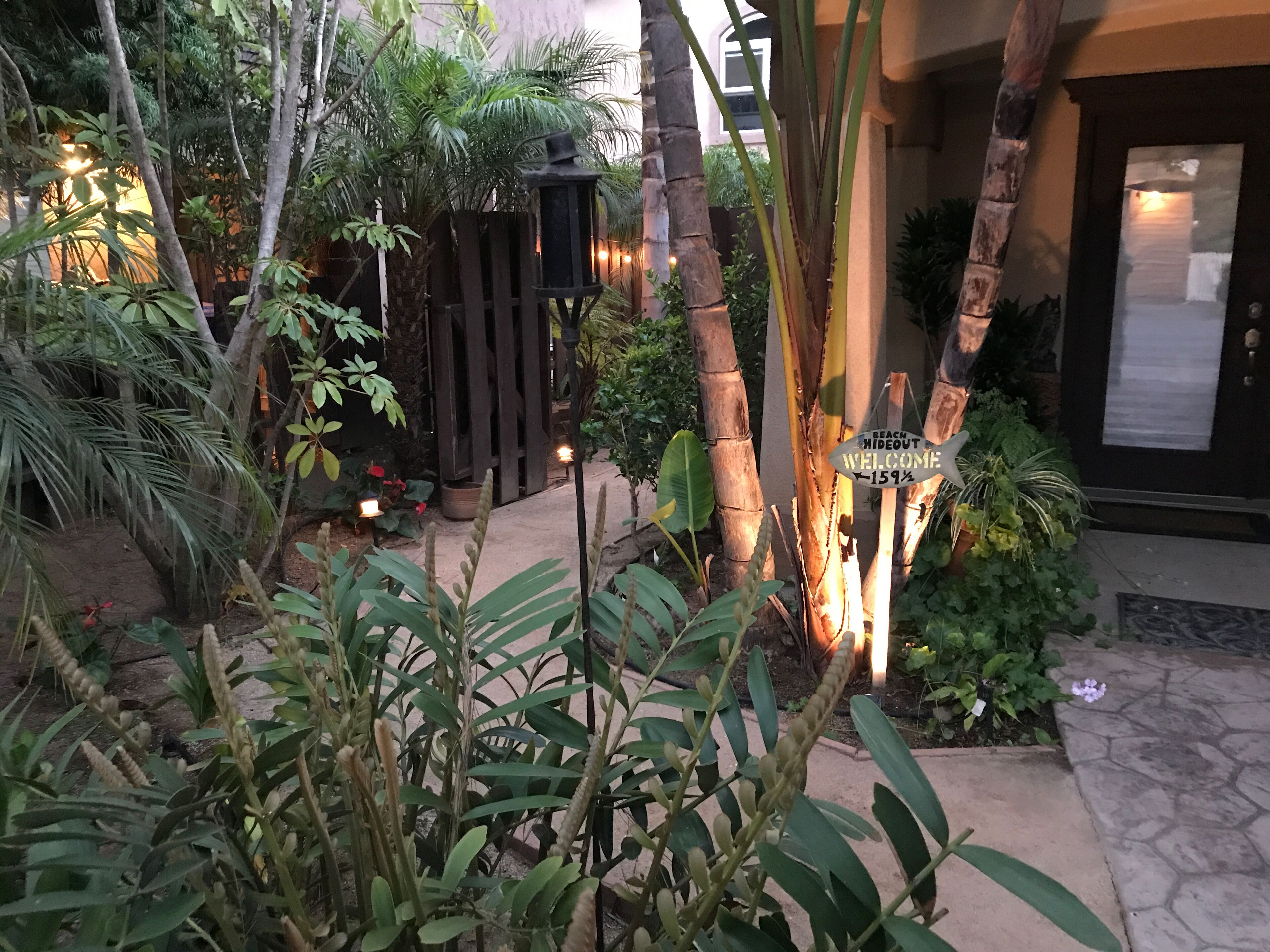 Pathway to hideout!
