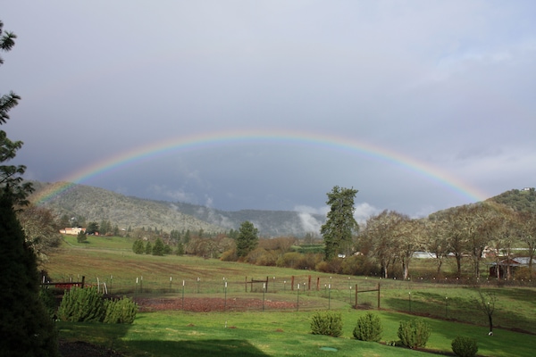 Rainbow on first day of spring 2016!