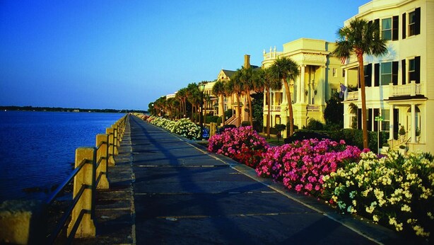 A waterfront promenade with a wooden walkway, palm trees, and buildings with balconies. - 2 Bedrooms with king beds and private bathroom for both. (Charleston)