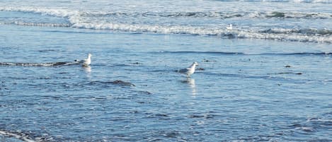 Sulla spiaggia