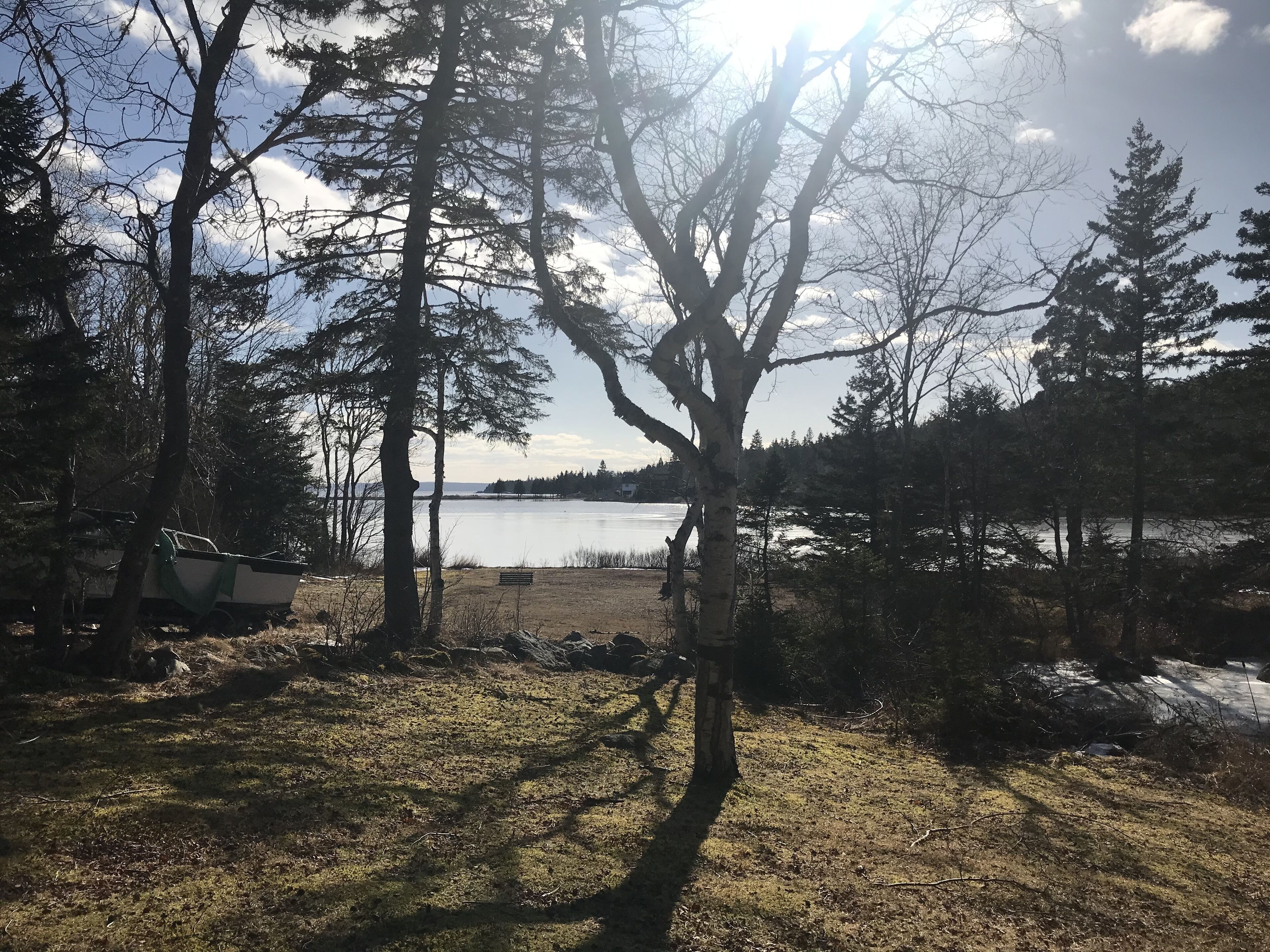 A lakeside camping area with trees, a boat, and a bench.