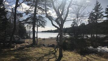 A lakeside camping area with trees, a boat, and a bench.