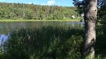 A serene lakeside view with dense greenery and a tree trunk in the foreground.