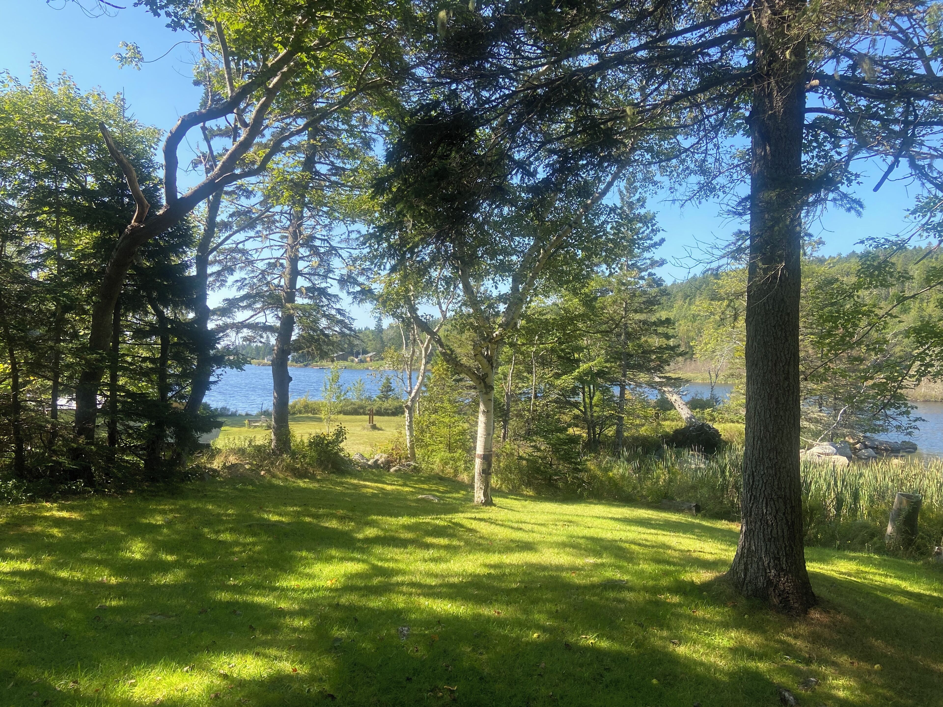Un entorno tranquilo junto al lago, con árboles frondosos y una zona cubierta de césped.