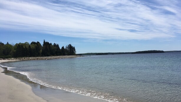 Une plage à l’eau claire, un rivage sablonneux et, au loin, une île couverte de forêts.