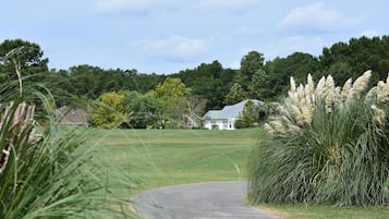 Studio | Property grounds