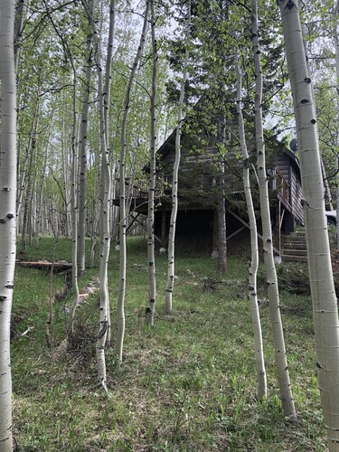 Willkommen in der Lazy Moose Cabin