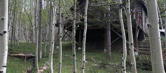 Welcome to the Lazy Moose Cabin