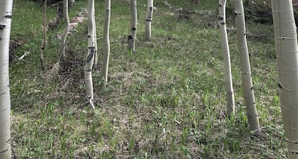 Willkommen in der Lazy Moose Cabin