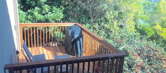 Cozy Studio In The Hills Of Mill Valley.