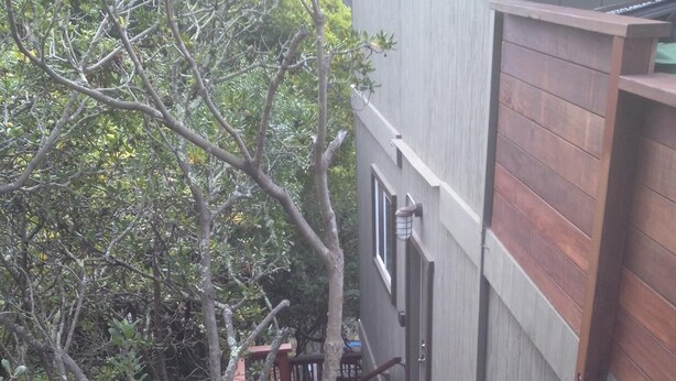 Gradi de fusta que condueix a una terrassa amb vista a un edifici.