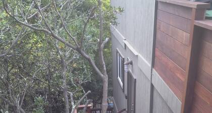 Kodikas studio Mill Valleyin kukkuloilla.