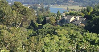 Gemütliches Studio in den Hügeln von Mill Valley.