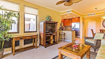 Télévision, lecteur de DVD, chaßne hi-fi