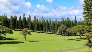 En golfbane med klar himmel, grønt græs og en række træer.