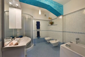 Combined shower/tub, jetted tub, hair dryer, towels