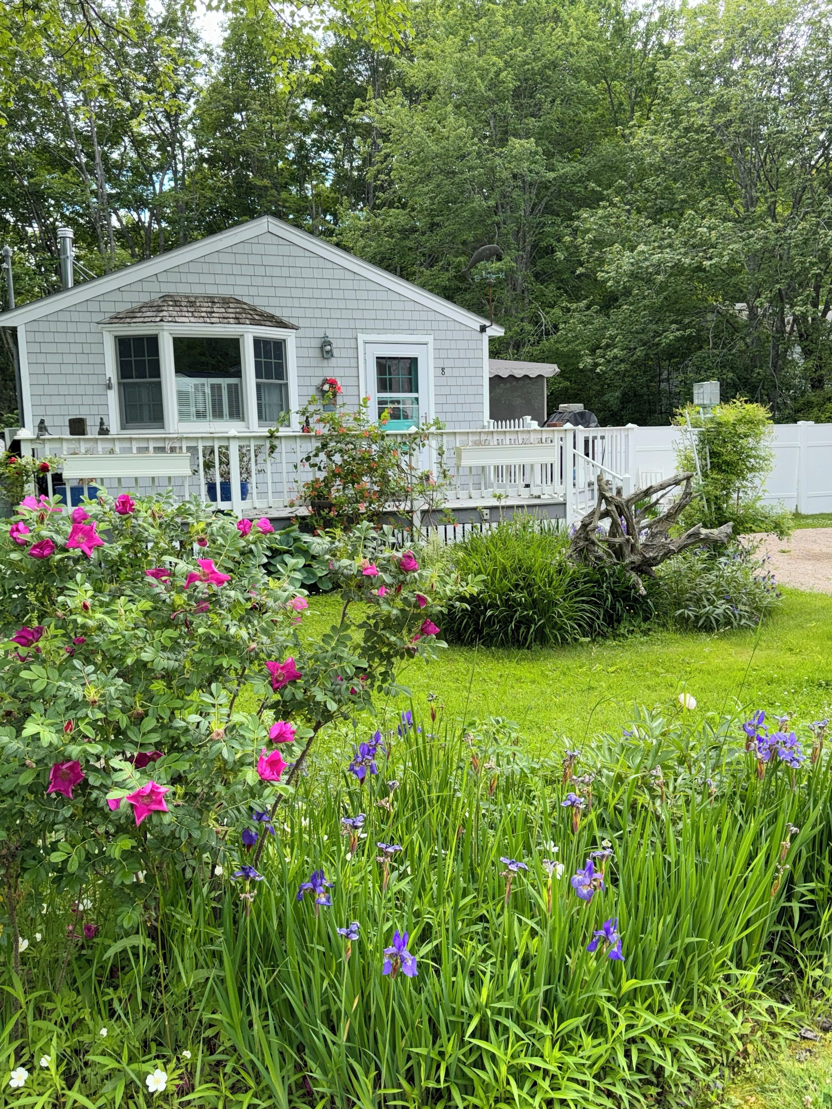 Adorable OPEN Concept Beach Cottage at Goose Rocks Beach