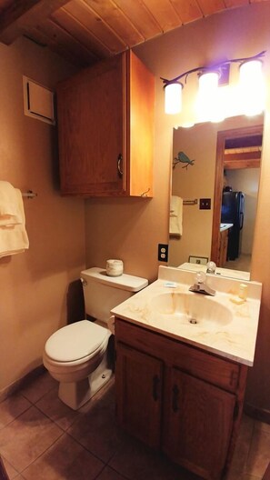 A bathroom with a toilet, sink, vanity, and mirror. - Aspen West Townhouse 6 - In Town - Right Off Main Street - WiFi - Cable - Smart (Red River)