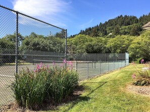 Campo sportivo