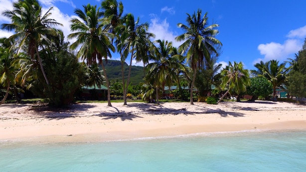Una playa con agua turquesa cristalina, palmeras y una orilla arenosa.