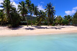 Uma praia com águas turquesa cristalinas, palmeiras e uma costa arenosa.