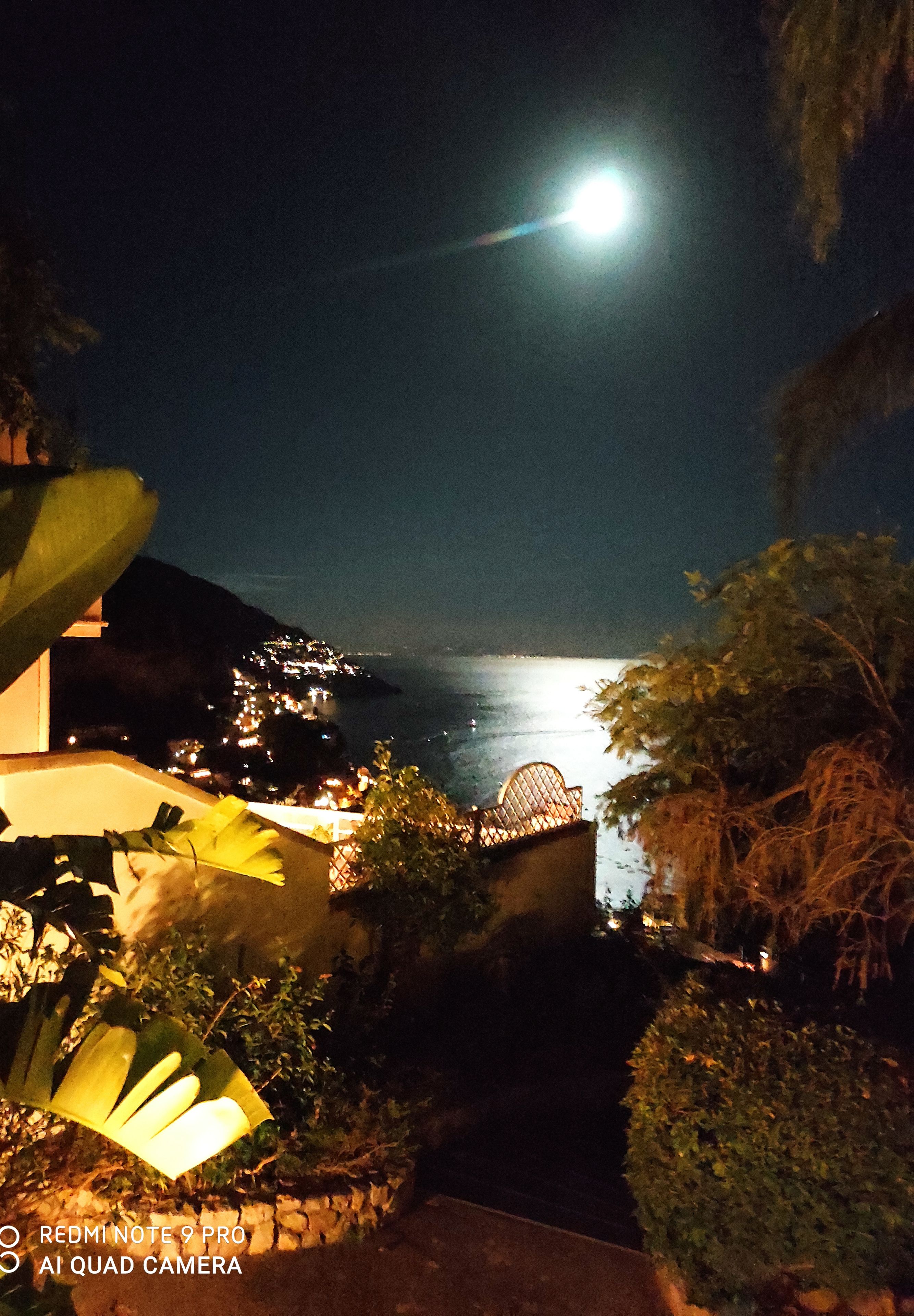 Escena costera nocturna con vista a la luna, edificios iluminados y abundante vegetación.