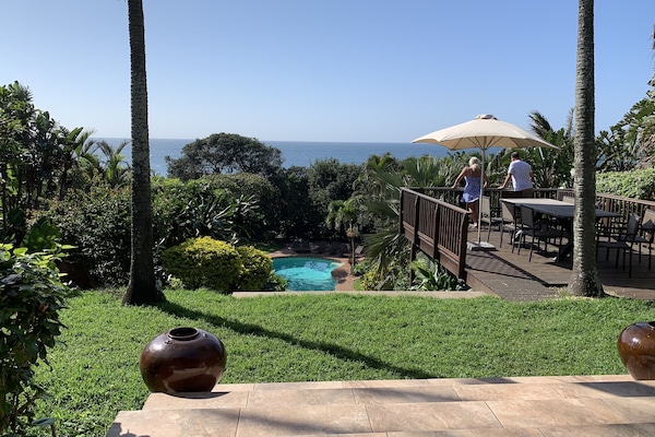 Looking from the balcony at the dolphins swim by