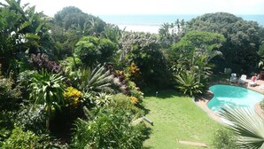Un rigoglioso giardino con piscina, circondato da lussureggiante vegetazione tropicale e vista sull’oceano.