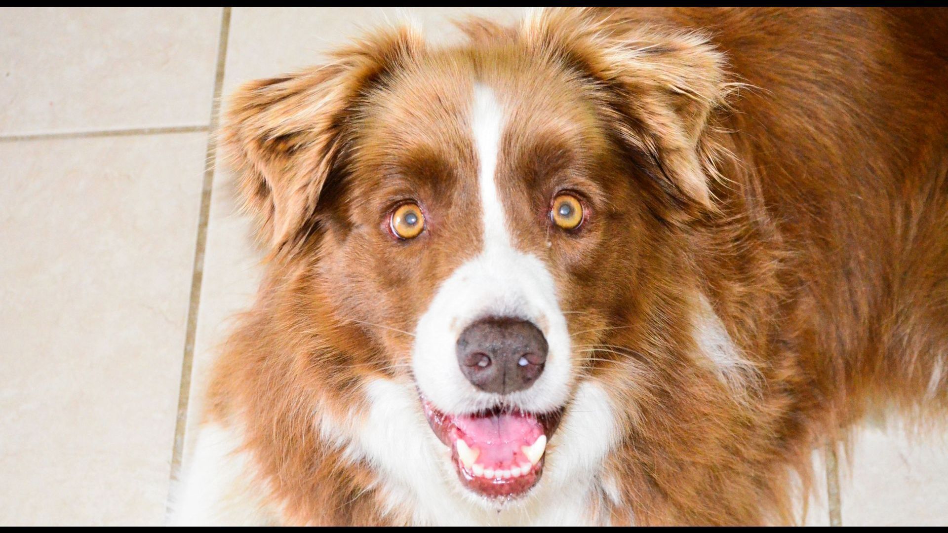 Wirral Grange Vineyard & Cottage — image 12