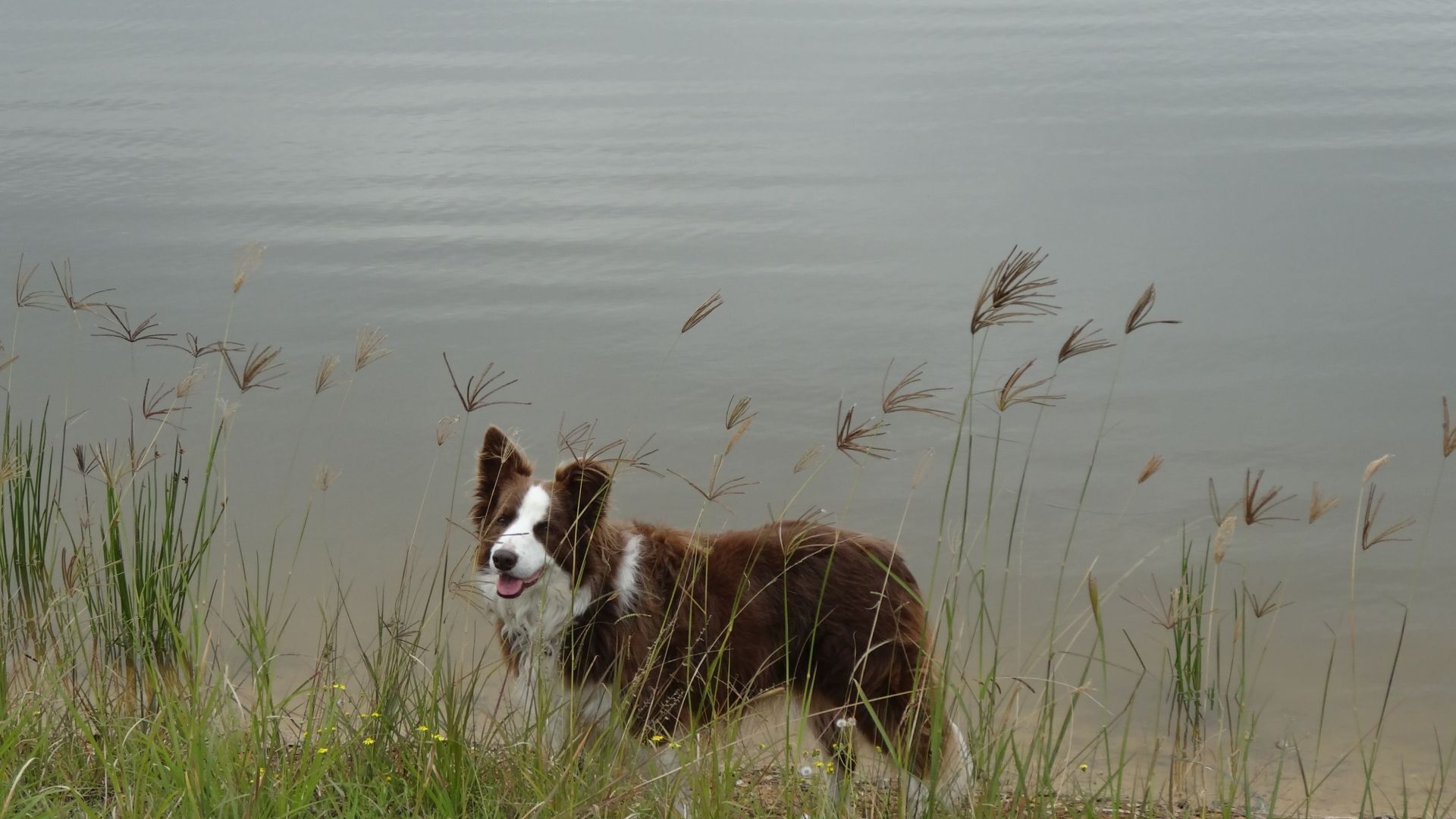 Wirral Grange Vineyard & Cottage — image 4