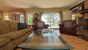 TV connectée, cheminée, lecteur de DVD, livres