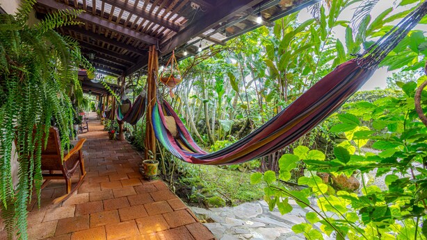A covered outdoor area with a hammock, wooden benches, and lush greenery.