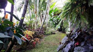 A lush garden with various plants and trees, a grassy area, and a structure with a roof.