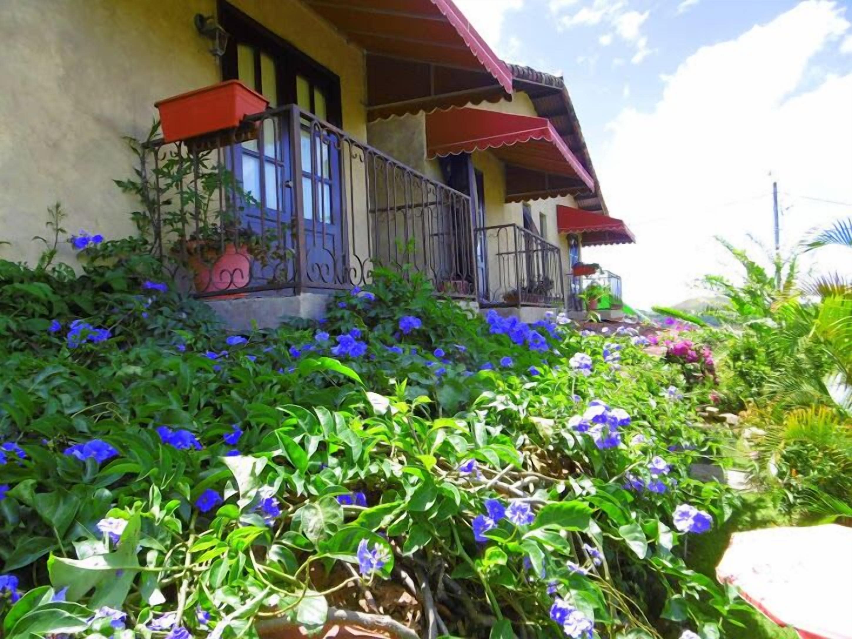 Ein Haus mit Balkon, umgeben von üppigem Grün und leuchtend blauen Blumen.