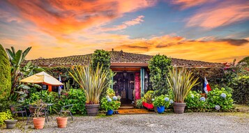 A house with a tiled roof, surrounded by lush greenery and potted plants.
