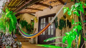 A hammock hanging between wooden beams, surrounded by lush green plants and a tiled floor.