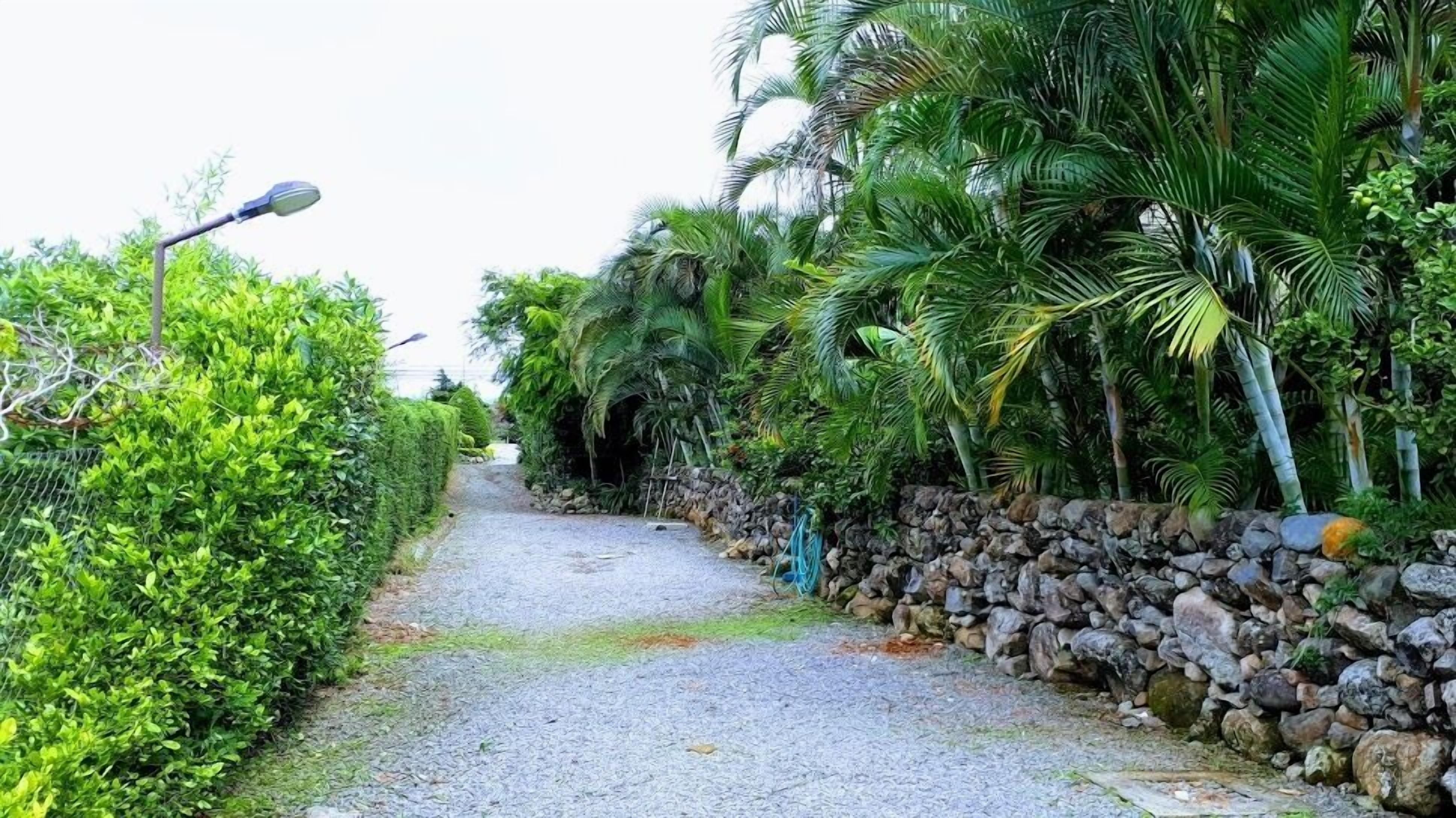 Un chemin de gravier bordé d’une végétation luxuriante et d’un mur de pierres.