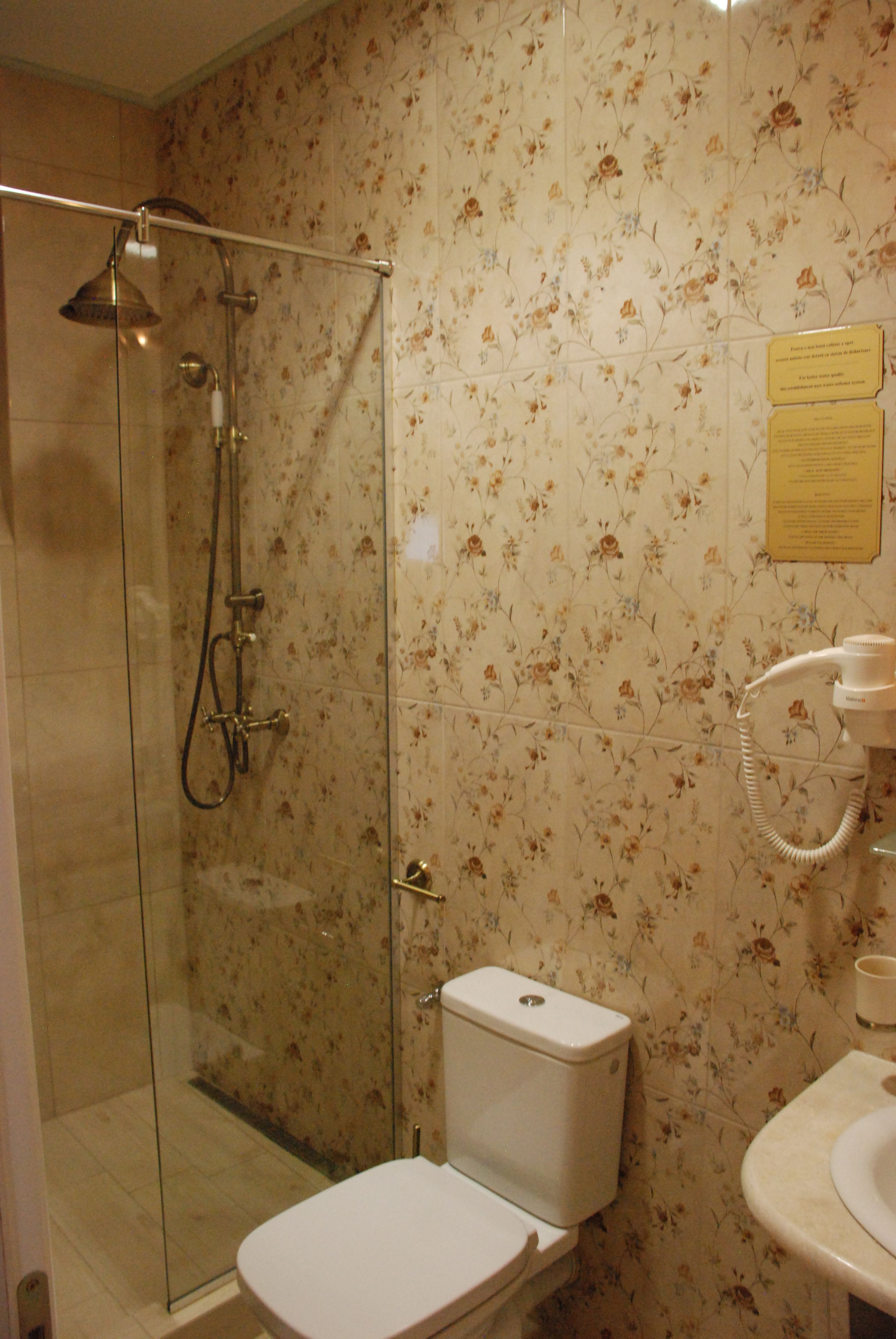 A bathroom with a glass shower enclosure, a toilet, and a sink.