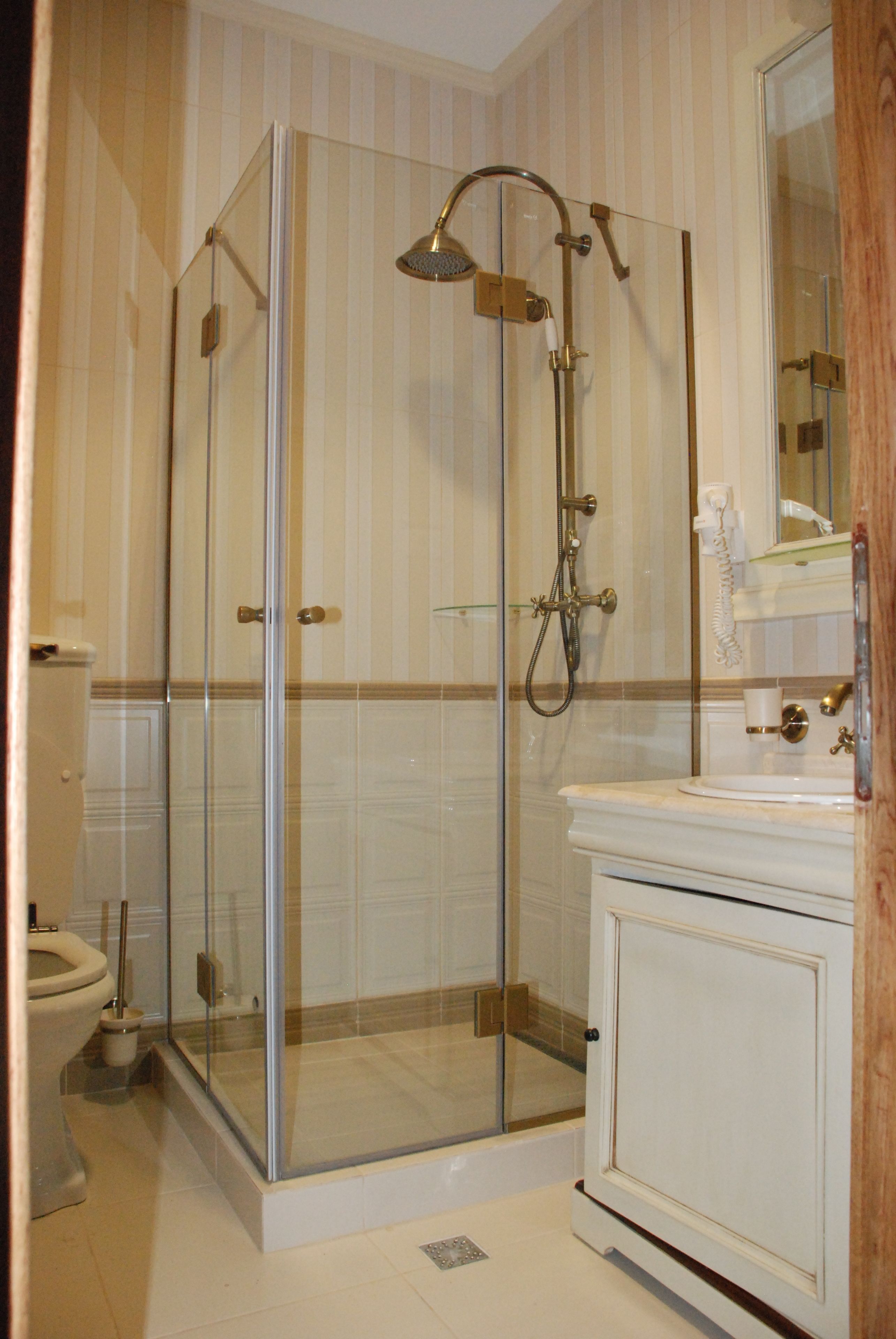 A bathroom with a glass-enclosed shower, a toilet, and a vanity with a mirror.