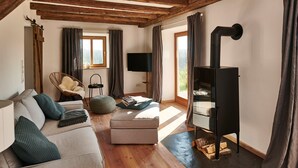 A cozy living room with a wooden ceiling, a sofa, a chair, a television, and a fireplace. - "Melkerhaus" bis 6 Personen mit Terrasse und Pool, 101m² (Wonneberg)