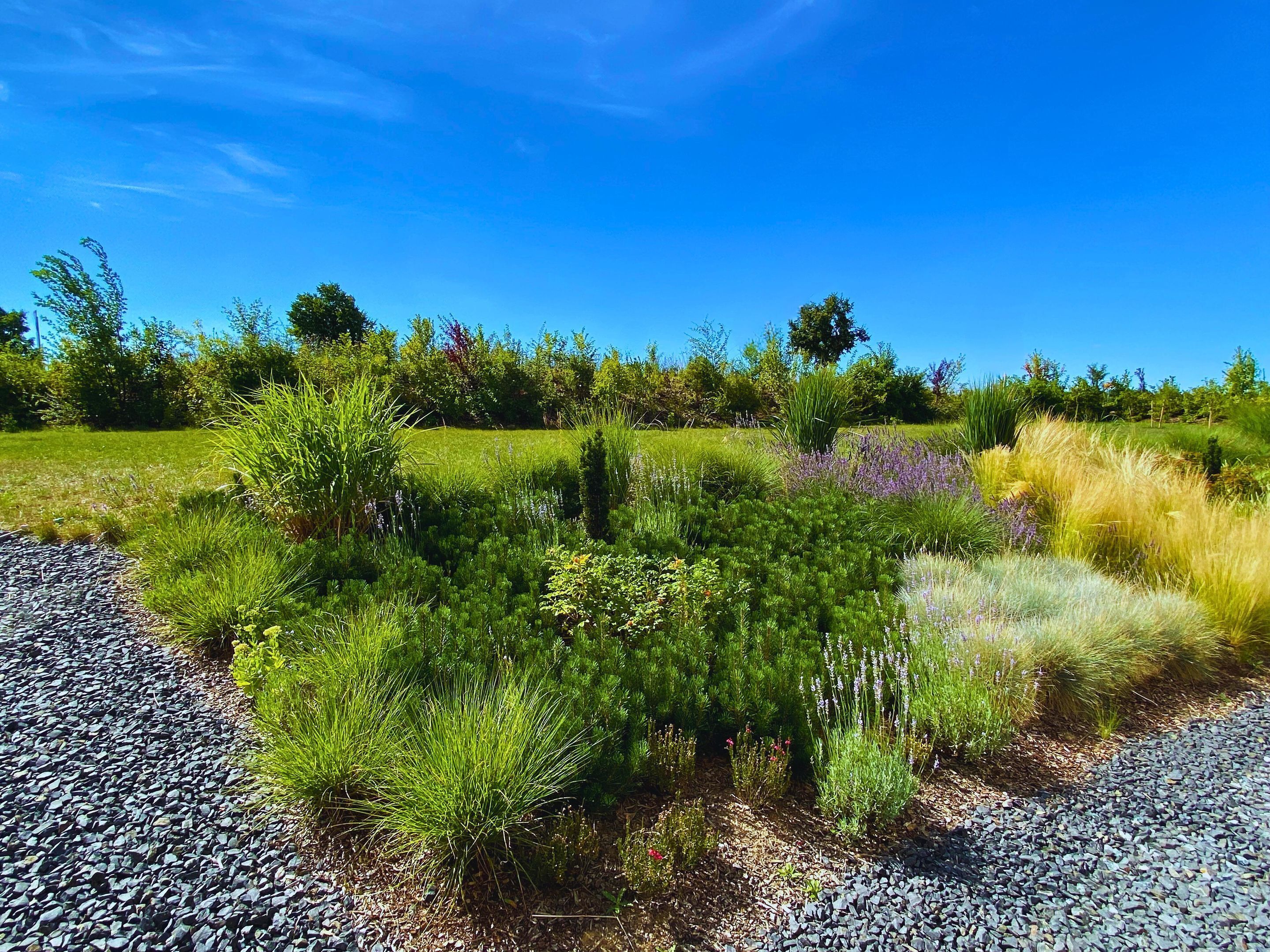 Un jardín ajardinado con diversas plantas y un sendero de grava.