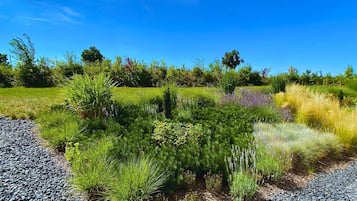 Un jardín ajardinado con diversas plantas y un sendero de grava.