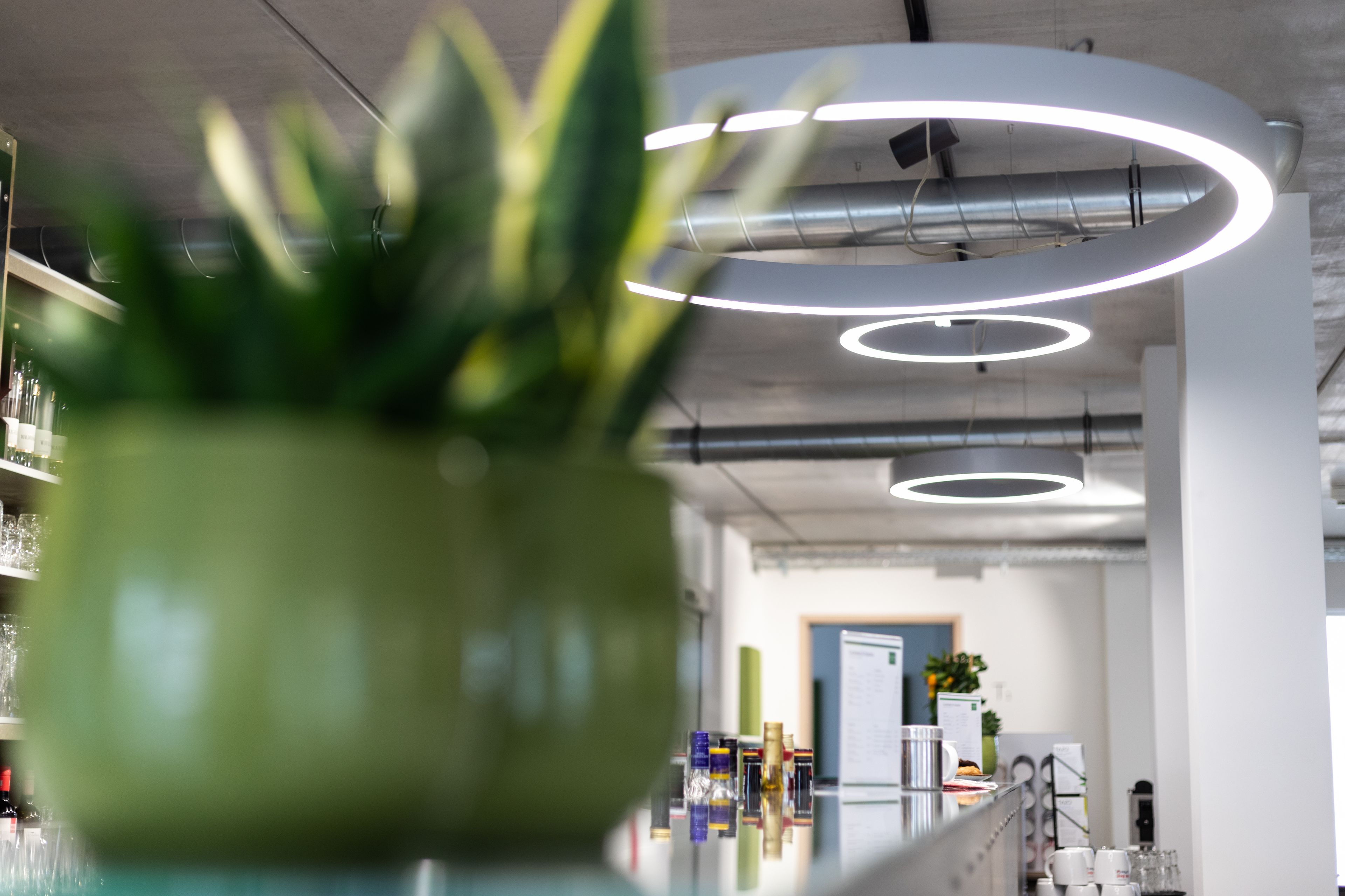 international cuisine, garden views