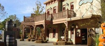 Cozy Stone Mountain Villa