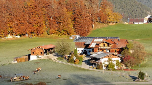 Una casa de campo rural con un granero, techo con paneles solares y un pequeño rebaño de ganado pastando al frente.