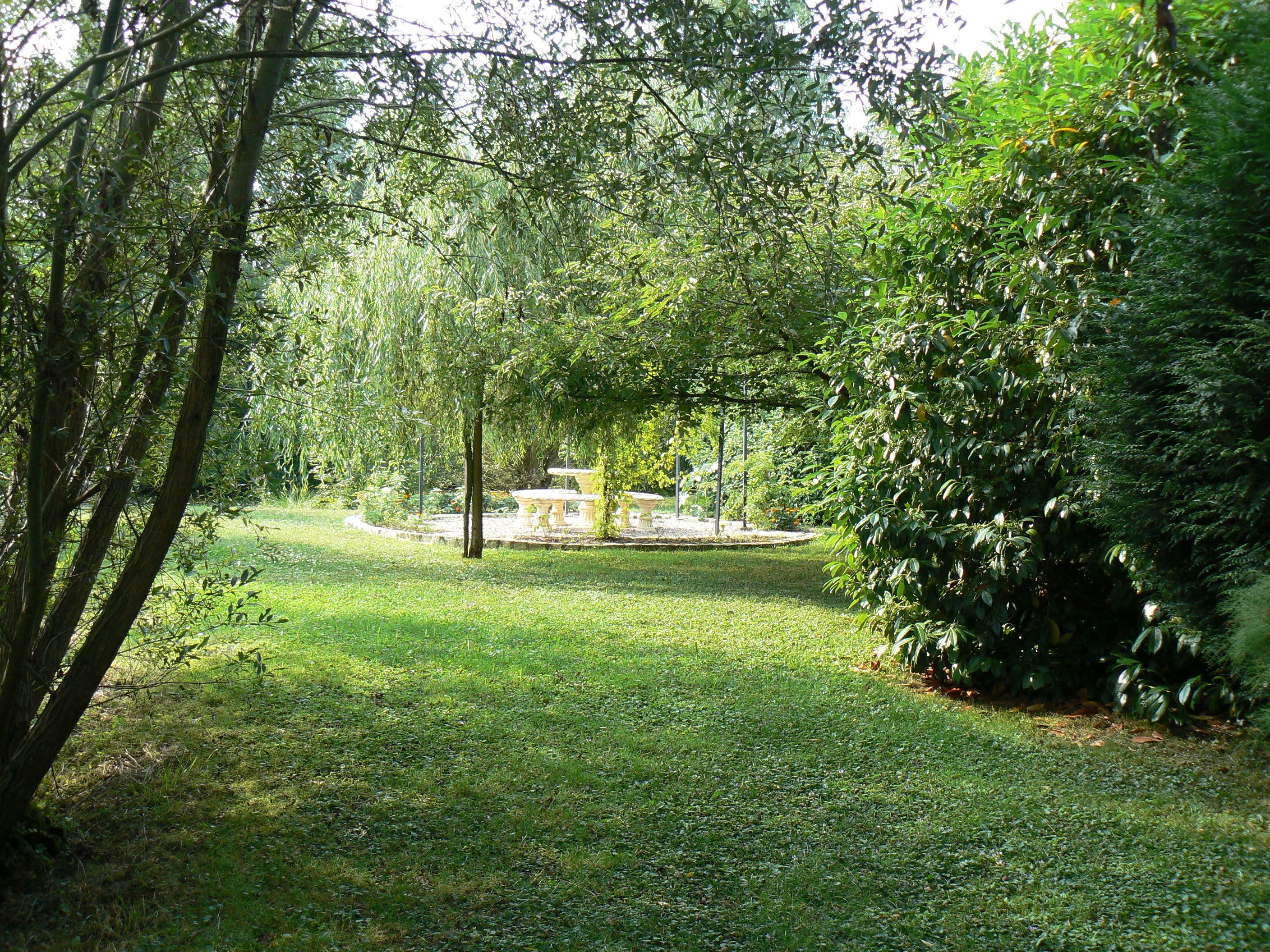 Un jardin luxuriant avec une fontaine en pierre, entouré d’un feuillage dense et d’arbres.