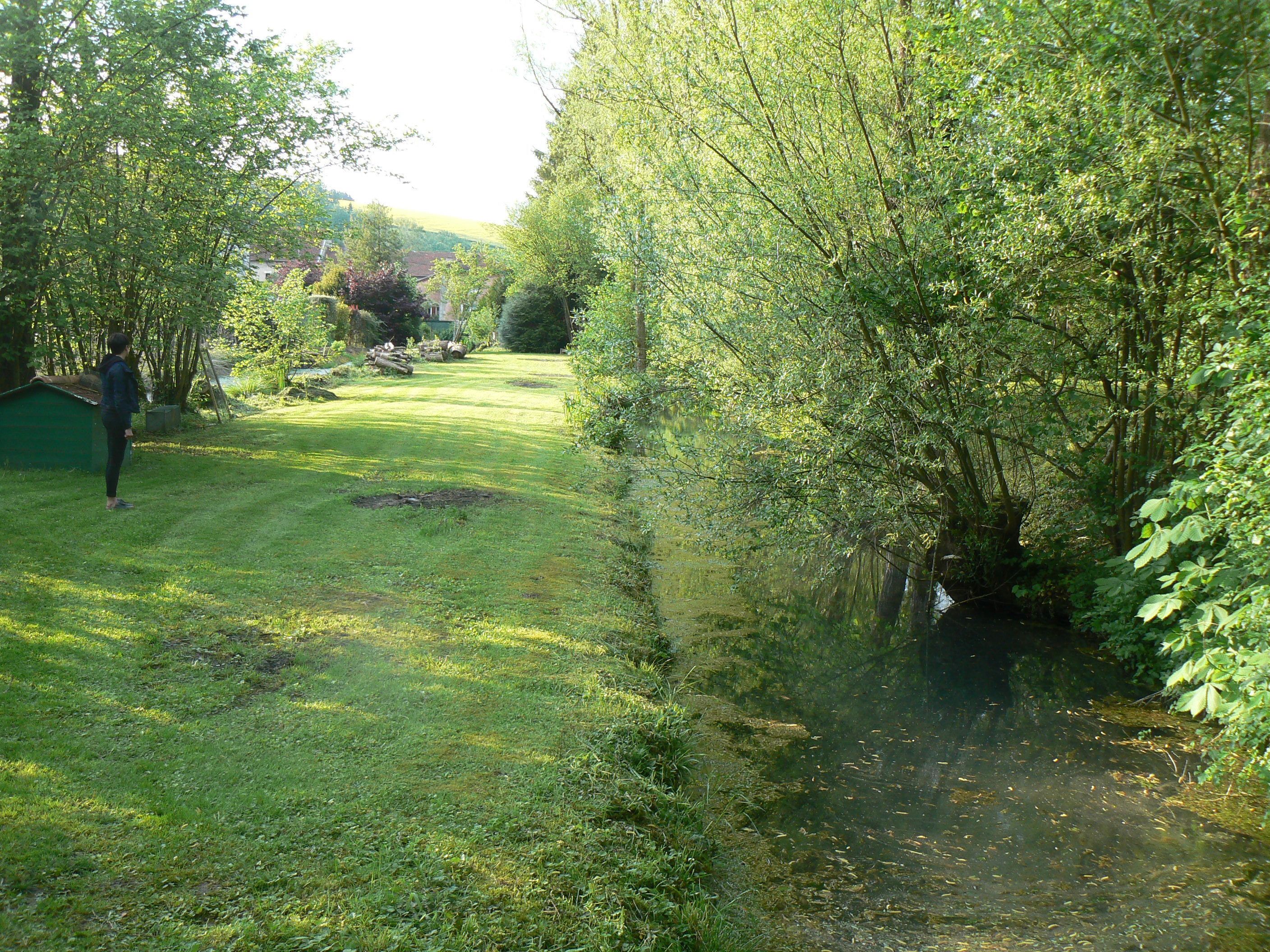 A grassy area with a small stream, surrounded by trees and a house in the background.