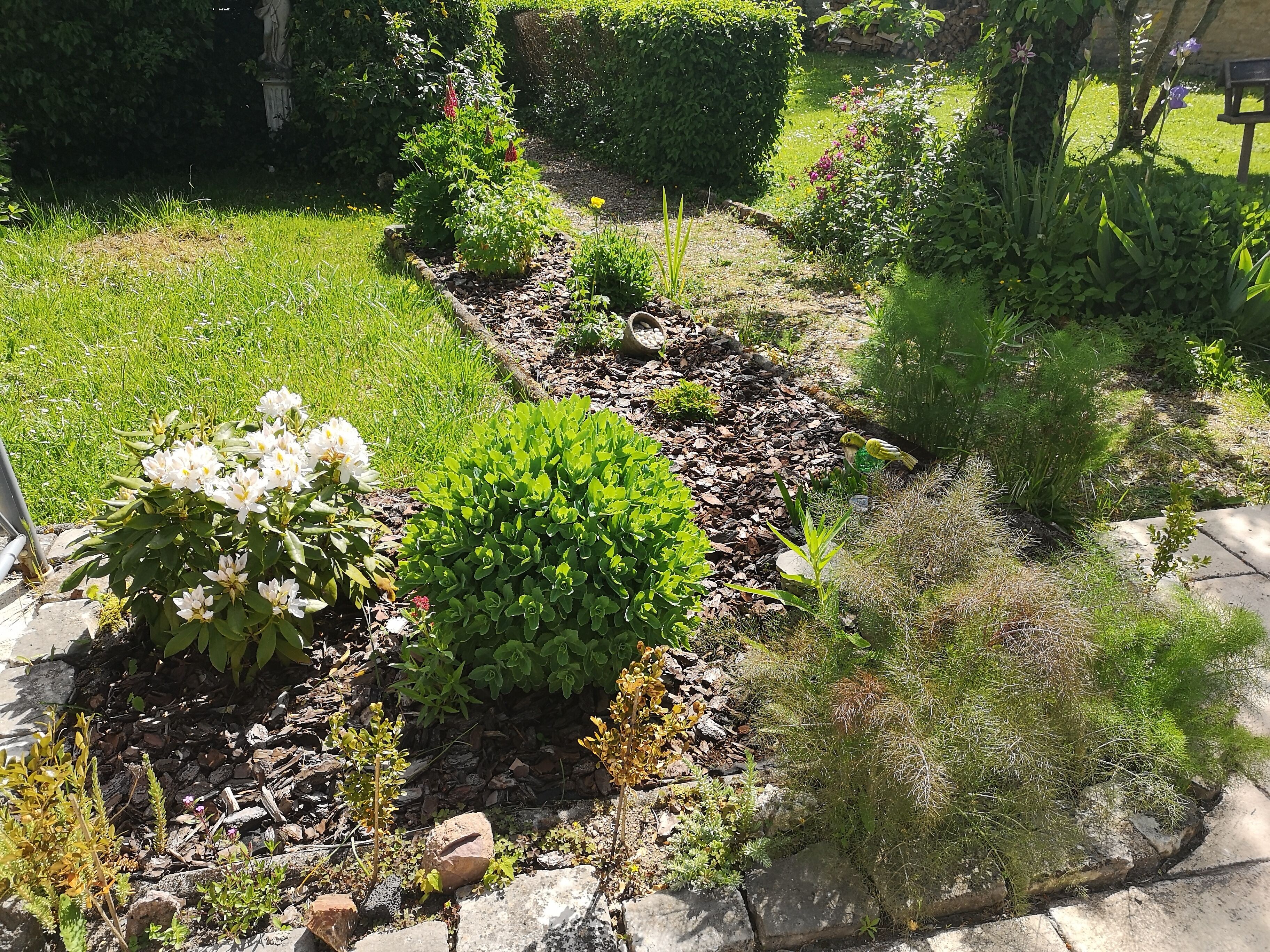 Un jardin agrémenté de diverses plantes et orné d’une statue.