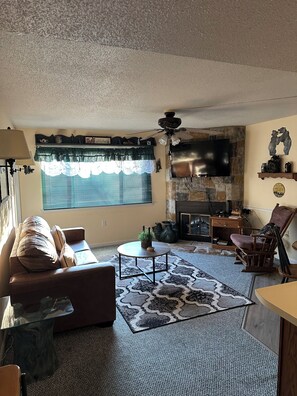 Télévision, cheminée, lecteur de DVD