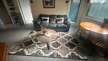 Televisión, chimenea y reproductor de DVD